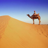 Rajasthan Tours